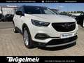 Opel Grandland Grandland X 2.0 D Autom Ultimate+AHK+ACC+NAV+19" Weiß - thumbnail 1