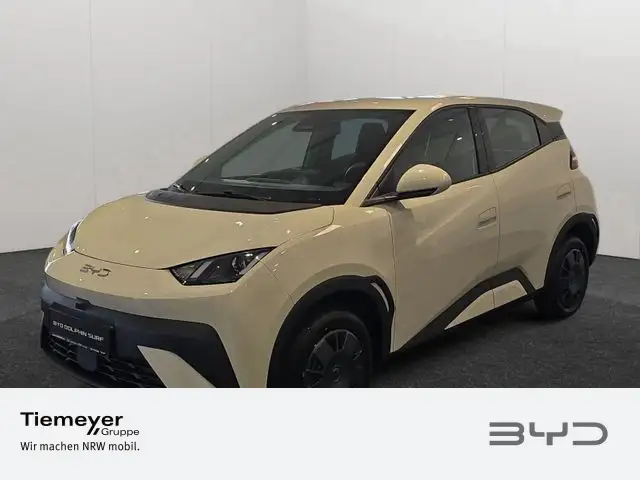 BYD Dolphin Surf