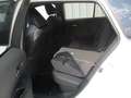 Toyota Corolla 1.8 Hybrid Touring Sports Active Drive Blanc - thumbnail 10