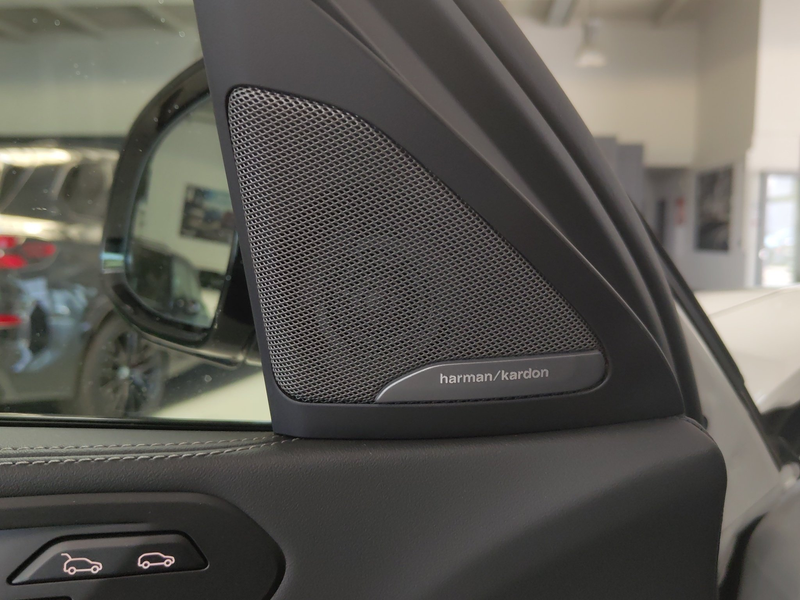 BMW X6 xDrive40d M Sport AHK/SHZ/LED+/hk/PANO/SoftCl — photo 15
