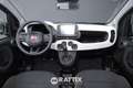 Fiat Panda Pandina 1.0 Firefly Hybrid 70CV Cross Verde - thumbnail 9