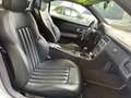 Mercedes-Benz SLK 200 Special Edition --SOLO 69.000KM-- Argento - thumbnail 5