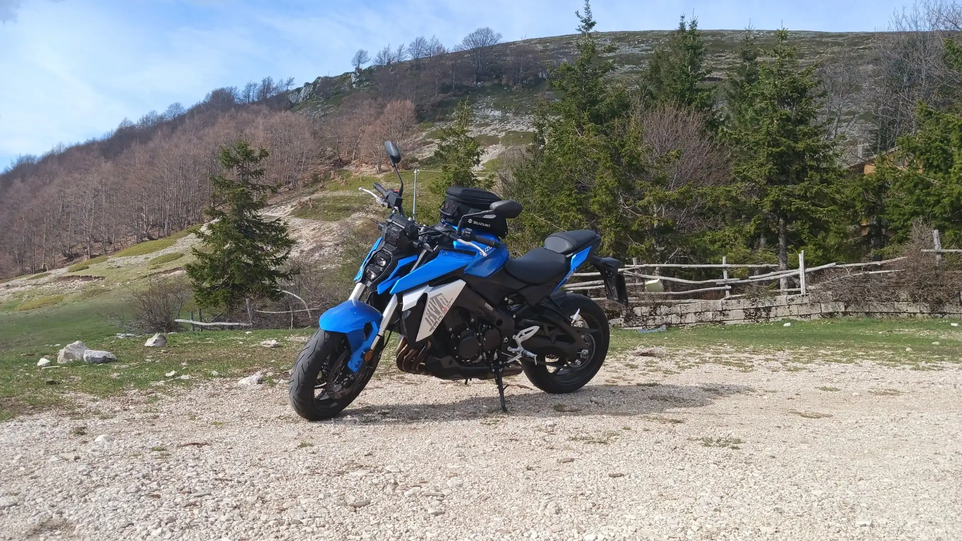Suzuki GSX-S 950 Bleu - 1