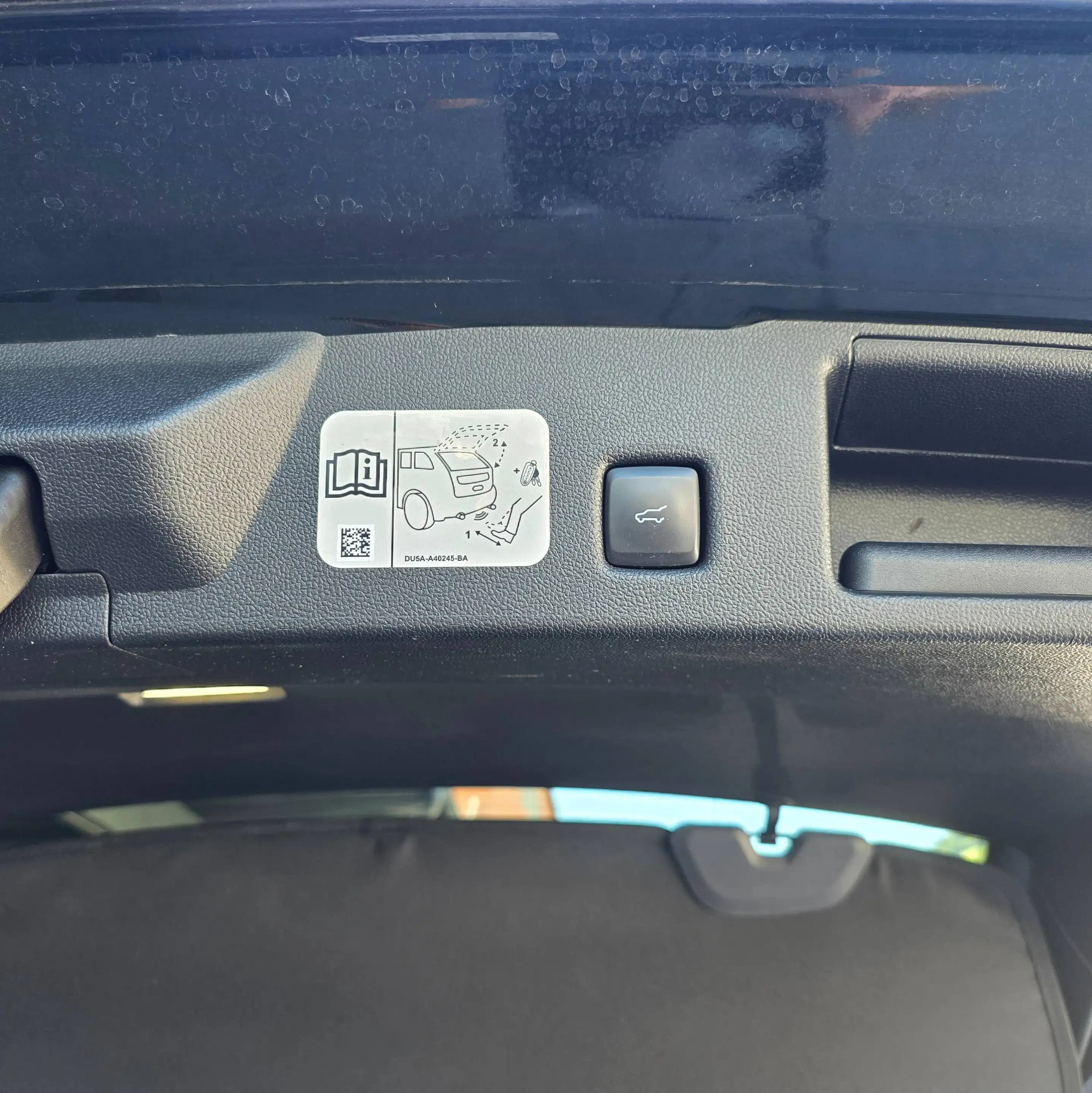 Ford Kuga Plug-In Hybrid ST-Line X — photo 6