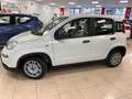 Fiat New Panda 1.0 FireFly S&S Hybrid SENZA FINANZIAMENTO Bianco - thumbnail 2