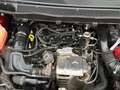 Ford B-Max B-MAX 1.0 Sync Edition+Klimaaut.+Winter-P. Rot - thumbnail 21