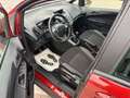 Ford B-Max B-MAX 1.0 Sync Edition+Klimaaut.+Winter-P. Rot - thumbnail 15