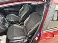 Ford B-Max B-MAX 1.0 Sync Edition+Klimaaut.+Winter-P. Rot - thumbnail 16