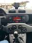 Fiat Panda Citylife 1,0 Hybride/essence Blanc - thumbnail 5