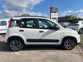 Fiat Panda Citylife 1,0 Hybride/essence Blanc - thumbnail 2