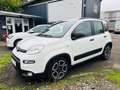 Fiat Panda Citylife 1,0 Hybride/essence Blanc - thumbnail 1