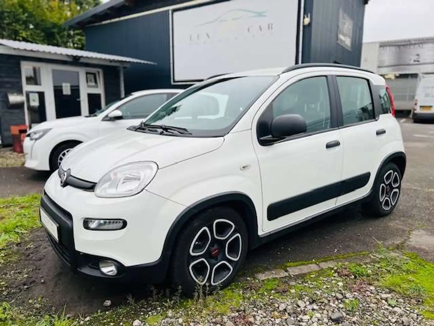 Fiat Panda Citylife 1,0 Hybride/essence Blanc - 1