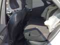 Ford Puma Titanium EcoBoost Mild Hybrid Winterpaket Technolo Grau - thumbnail 9