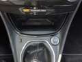 Ford Puma Titanium EcoBoost Mild Hybrid Winterpaket Technolo Grau - thumbnail 22