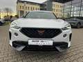 CUPRA Formentor 2.0 TSI VZ *Navi*LED*ACC*Pano*Beats* Weiß - thumbnail 8