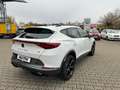 CUPRA Formentor 2.0 TSI VZ *Navi*LED*ACC*Pano*Beats* Weiß - thumbnail 5