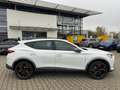 CUPRA Formentor 2.0 TSI VZ *Navi*LED*ACC*Pano*Beats* Weiß - thumbnail 6