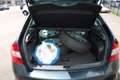 Skoda Rapid/Spaceback Rapid Spaceback 1,6 TDI Ambition Green tec Grau - thumbnail 19