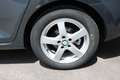 Skoda Rapid/Spaceback Rapid Spaceback 1,6 TDI Ambition Green tec Grau - thumbnail 9