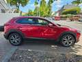 Mazda CX-3 0 Selection I-Activese/Spur/Tot-Winkel/360°/ Rot - thumbnail 6