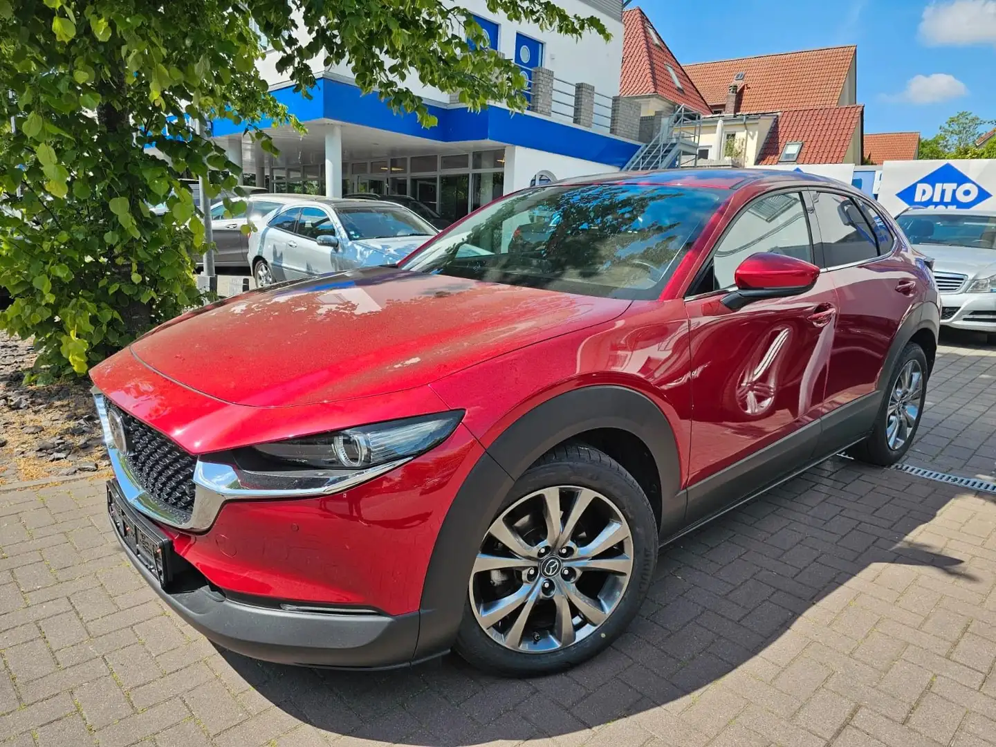 Mazda CX-3 0 Selection I-Activese/Spur/Tot-Winkel/360°/ Rot - 1