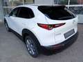 Mazda CX-30 2025 2.5 e-SKYACTIV G 140 Centre-line DESI Weiß - thumbnail 6