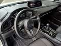 Mazda CX-30 2025 2.5 e-SKYACTIV G 140 Centre-line DESI Weiß - thumbnail 9