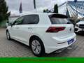 Volkswagen Golf 1.5 eTSI*LED*Navi*android*Apple*Allwetter* Wit - thumbnail 5