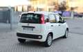 Fiat Panda 1.0 Firefly Hybrid 70CV Bianco - thumbnail 6