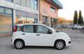 Fiat Panda 1.0 Firefly Hybrid 70CV Bianco - thumbnail 3