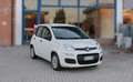 Fiat Panda 1.0 Firefly Hybrid 70CV Bianco - thumbnail 2