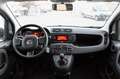 Fiat Panda 1.0 Firefly Hybrid 70CV Bianco - thumbnail 12