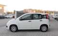 Fiat Panda 1.0 Firefly Hybrid 70CV Bianco - thumbnail 4