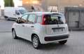 Fiat Panda 1.0 Firefly Hybrid 70CV Bianco - thumbnail 5