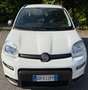 Fiat Panda 1.0 FireFly S&S Hybrid City Life Bianco - thumbnail 2