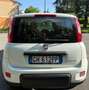 Fiat Panda 1.0 FireFly S&S Hybrid City Life Bianco - thumbnail 7