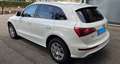 Audi Q5 Q5 2.0 tdi quattro 170cv s-line Bianco - thumbnail 5