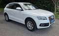 Audi Q5 Q5 2.0 tdi quattro 170cv s-line Bianco - thumbnail 1