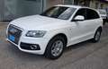 Audi Q5 Q5 2.0 tdi quattro 170cv s-line Bianco - thumbnail 7