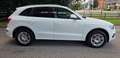 Audi Q5 Q5 2.0 tdi quattro 170cv s-line Bianco - thumbnail 2