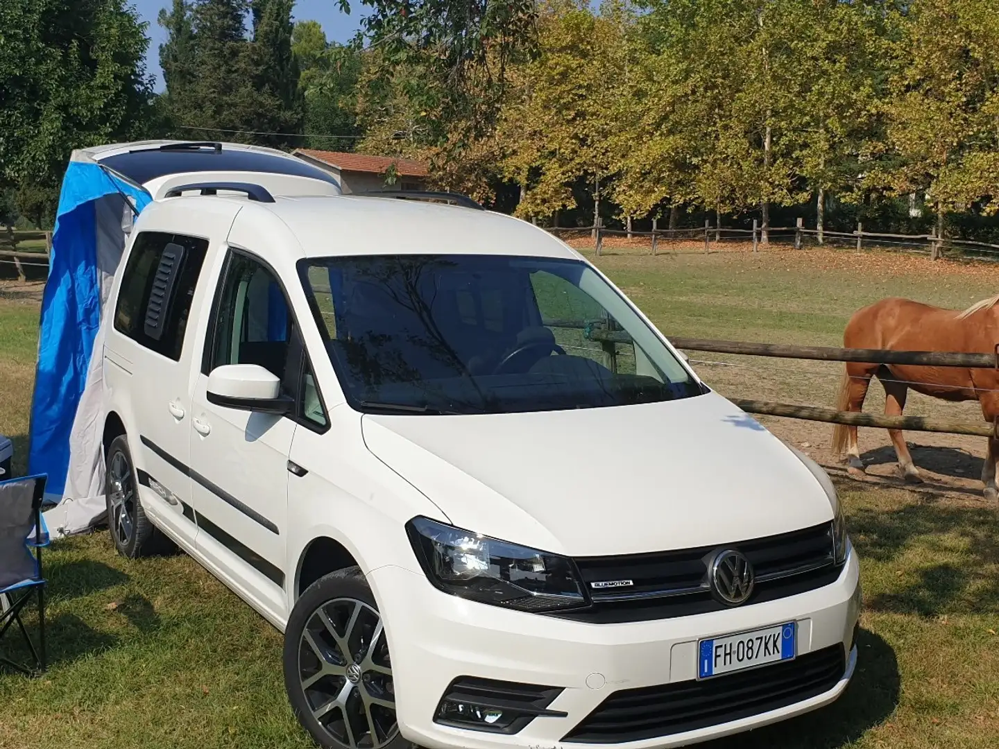 Volkswagen Caddy Beach 1.4 TGI Blanco - 1