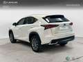 Lexus NX 350h SUV BUSINESS NAVIGATION 2WD 2.5 Híbrido Gasolina Weiß - thumbnail 2