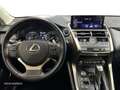 Lexus NX 350h SUV BUSINESS NAVIGATION 2WD 2.5 Híbrido Gasolina Weiß - thumbnail 9