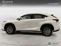Lexus NX 350h SUV BUSINESS NAVIGATION 2WD 2.5 Híbrido Gasolina Weiß - thumbnail 3