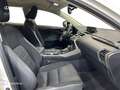Lexus NX 350h SUV BUSINESS NAVIGATION 2WD 2.5 Híbrido Gasolina Weiß - thumbnail 6