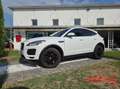 Jaguar E-Pace E-Pace 2.0D 150 CV AWD aut. S Blanc - thumbnail 18