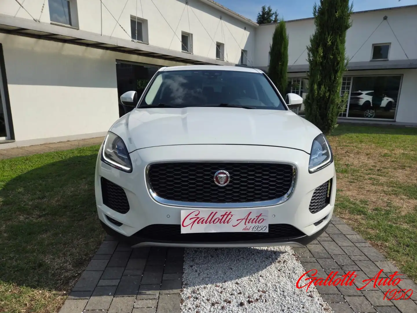 Jaguar E-Pace E-Pace 2.0D 150 CV AWD aut. S Blanc - 2