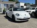 Volkswagen Beetle 1.2 TSI Cabriolet Club Navi Blanc - thumbnail 6