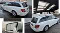 Mercedes-Benz C 300 C -Klasse C 300 T CDI 4Matic /// AMG Line Blanc - thumbnail 4