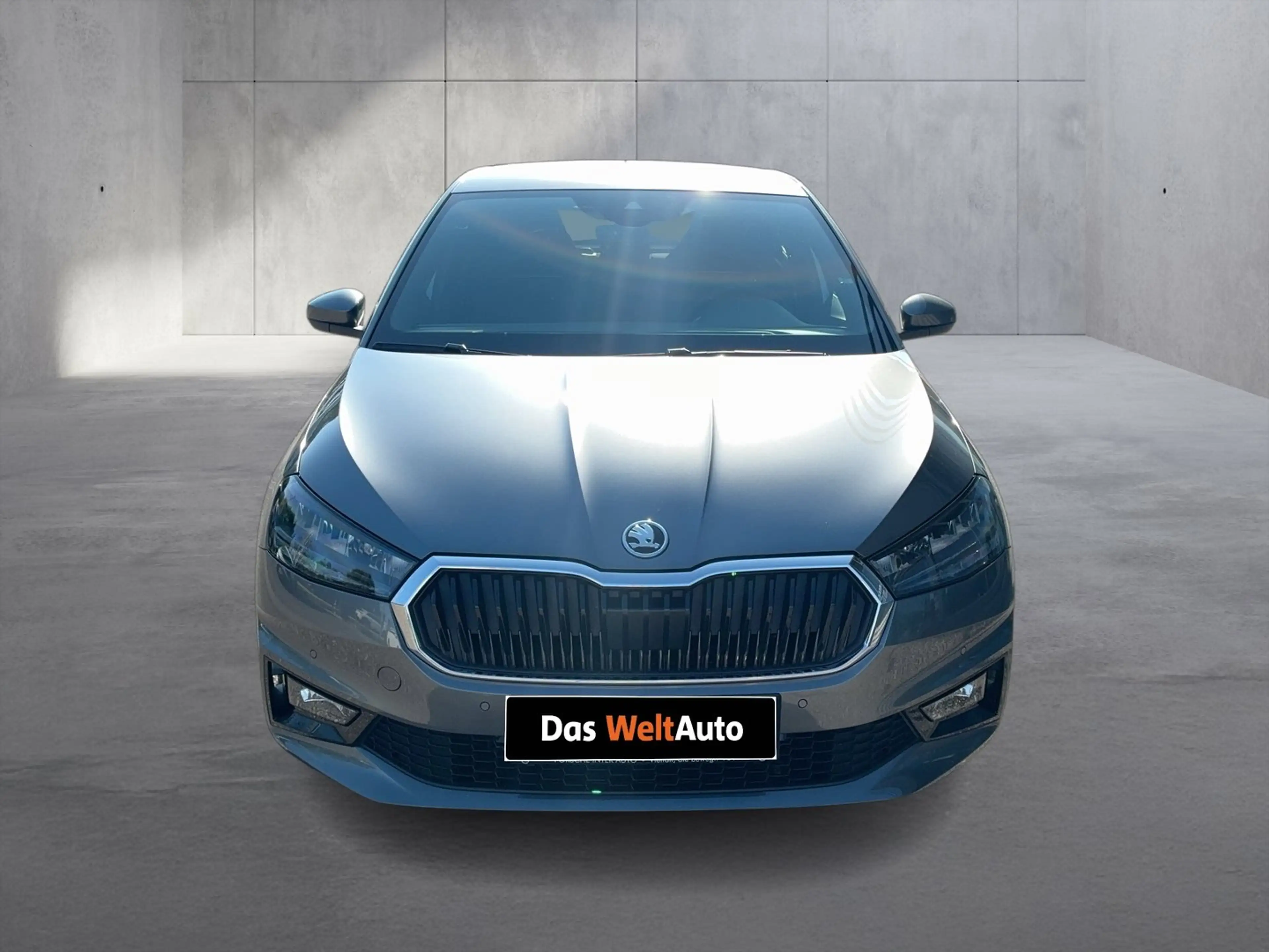 Skoda Fabia Selection TSI — photo 8